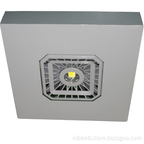 Explosion Proof LED Petrol/ Gas Station Canopy Light